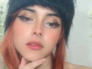 WebCAM of cronixx